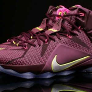 Nike LeBron 12 Double Helix